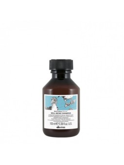 Shampoo idratante Davines Natural Tech Well-Being 1000ml