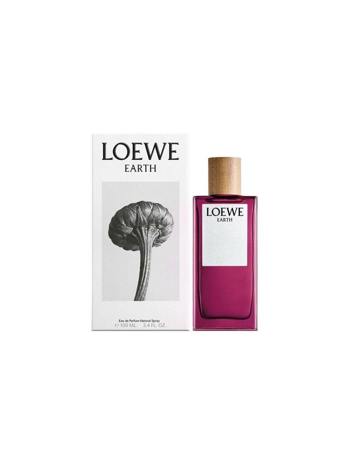 Loewe Earth Eau de Parfum Spray 100ml Unisex