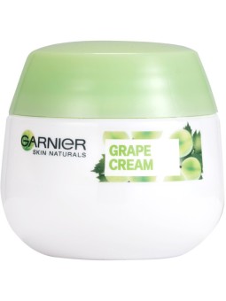 Crema idratante GARNIER Skin Naturals Botanical Cream 48 h