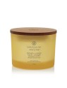 Candela Forza Energia a tre stoppini unisex 312g