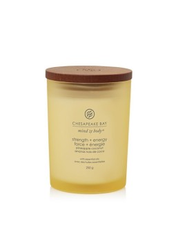 Chesapeake Bay Candela Tumbler Forza Energia Media Profumata Unisex 250g