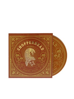 Chopperhead Pomata Opaca Matte unisex 100g: Stile capelli unico e senza luce
