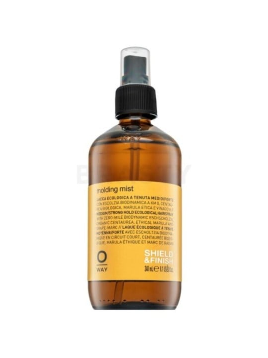 OWAY Molding Mist 240ml - Styling Perfetto