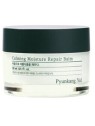 Ripara la Pelle con Pyunkang Yul Wonder Balm 30ml