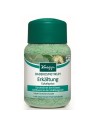 Eucalyptus Bath Salt Kneipp 500 g