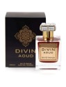 Divin Aoud Eau de Parfum Unisex 100ml