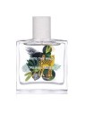 Maison Matine Into The Wild Eau de Parfum Unisex 50ml
