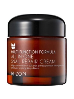 Mizon All In One Snail Repair Cream Crema rigenerante