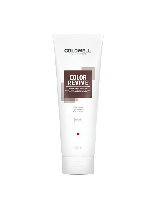 Goldwell Dualsenses Color Revive Color Giving Shampoo 250ml Cool Brown