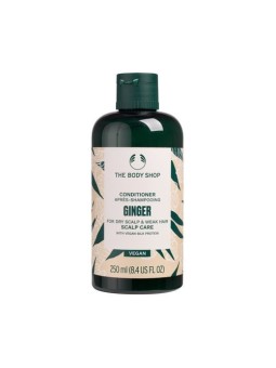 Condizionatore The Body Shop Ginger 250ml