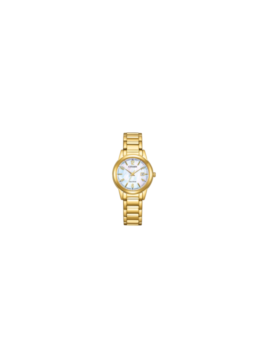 Citizen Eco-Drive FE1241-71X
