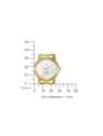 Citizen Elegant EU6072-56D