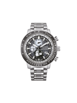 Citizen Promaster BY3006-53H