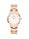 Daniel Wellington Iconic Link DW00100211 acquista 
