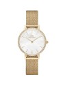 Orologio Daniel Wellington Petite Cornwall  DW00100247