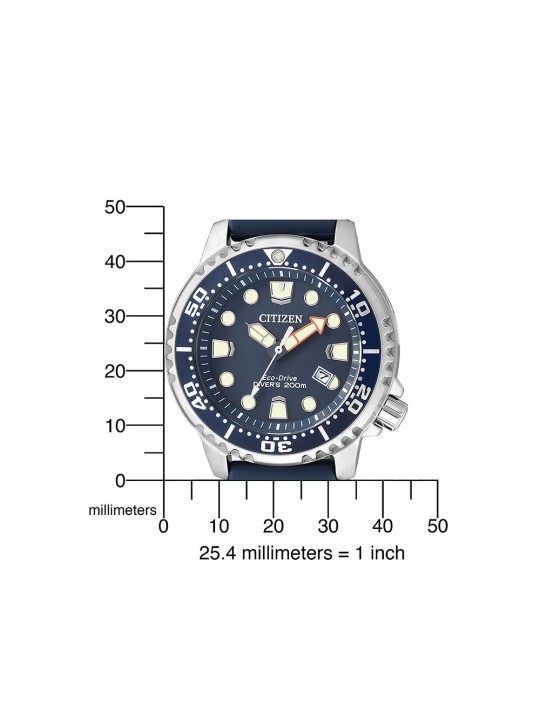 Citizen Promaster BN0151-17L acquista 