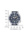 Citizen Promaster BN0151-17L acquista 