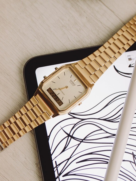 Casio Vintage AQ-230GA-9DMQYES acquista 