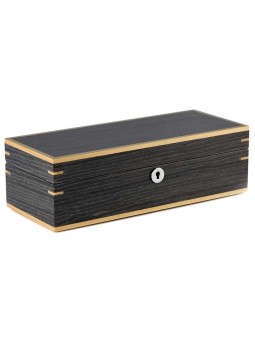 scatola orologio Rothenschild Watch Box [5] Ginko RS-2320-5G
