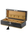 scatola orologio Rothenschild Watch Box [5] Ginko RS-2320-5G