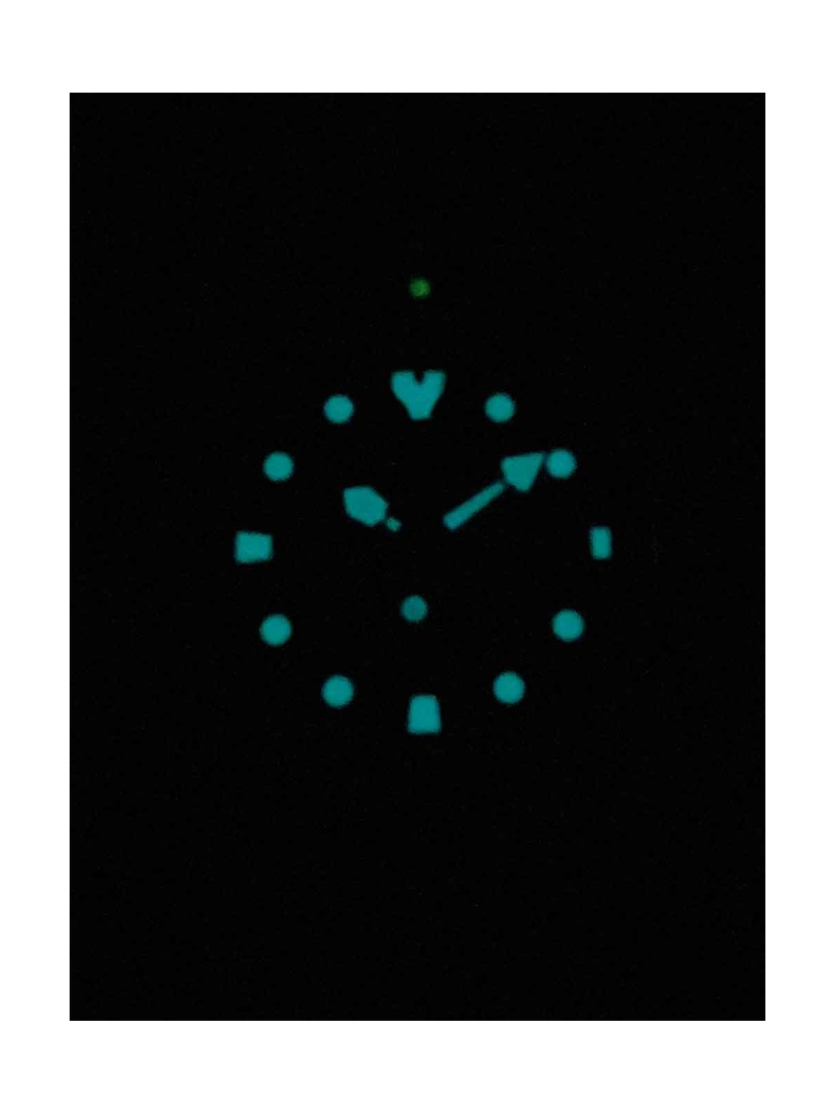 Citizen Promaster NY0085-86EE acquista 