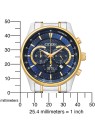 Citizen Quartz AN8194-51L