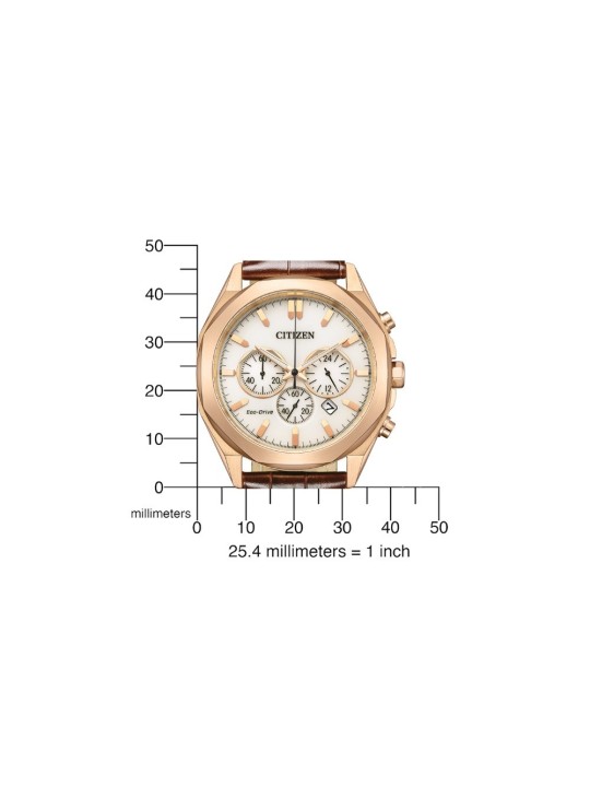 Citizen Eco-Drive CA4593-15A