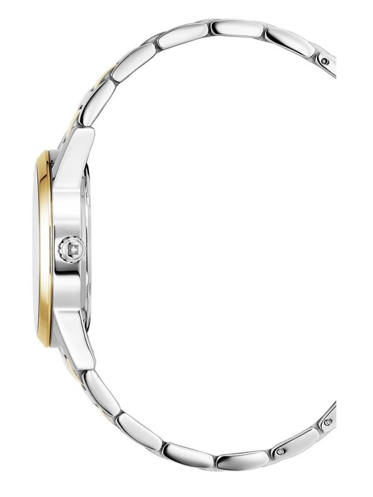 orologio donna Swiss Alpine Military 7767.1147 Ladies Watch Argos two tone black 34mm 10ATM
