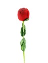 Beneto Exclusive Scatola di rose affascinanti KS11 donna