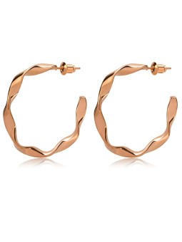 Troli Orecchini e anelli in acciaio bronzo alla moda donna