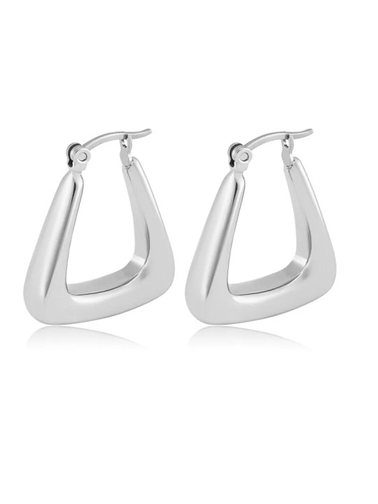 Troli Eleganti orecchini in acciaio VAAJDE201325G donna