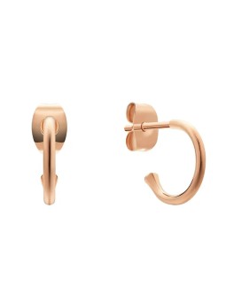 Daniel Wellington Orecchini a cerchio placcati oro Charms DW00400767 donna