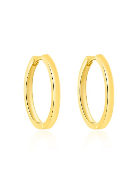 Agato Orecchini e cerchio placcati oro AGT-E251K-GOLD donna
