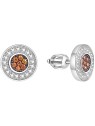 Beneto Orecchini in argento AGUP1571S donna