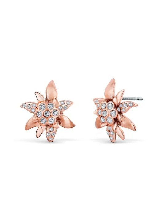 CRYSTalp Orecchini coordinati in bronzo Edelweiss con cristalli 4150.RG donna
