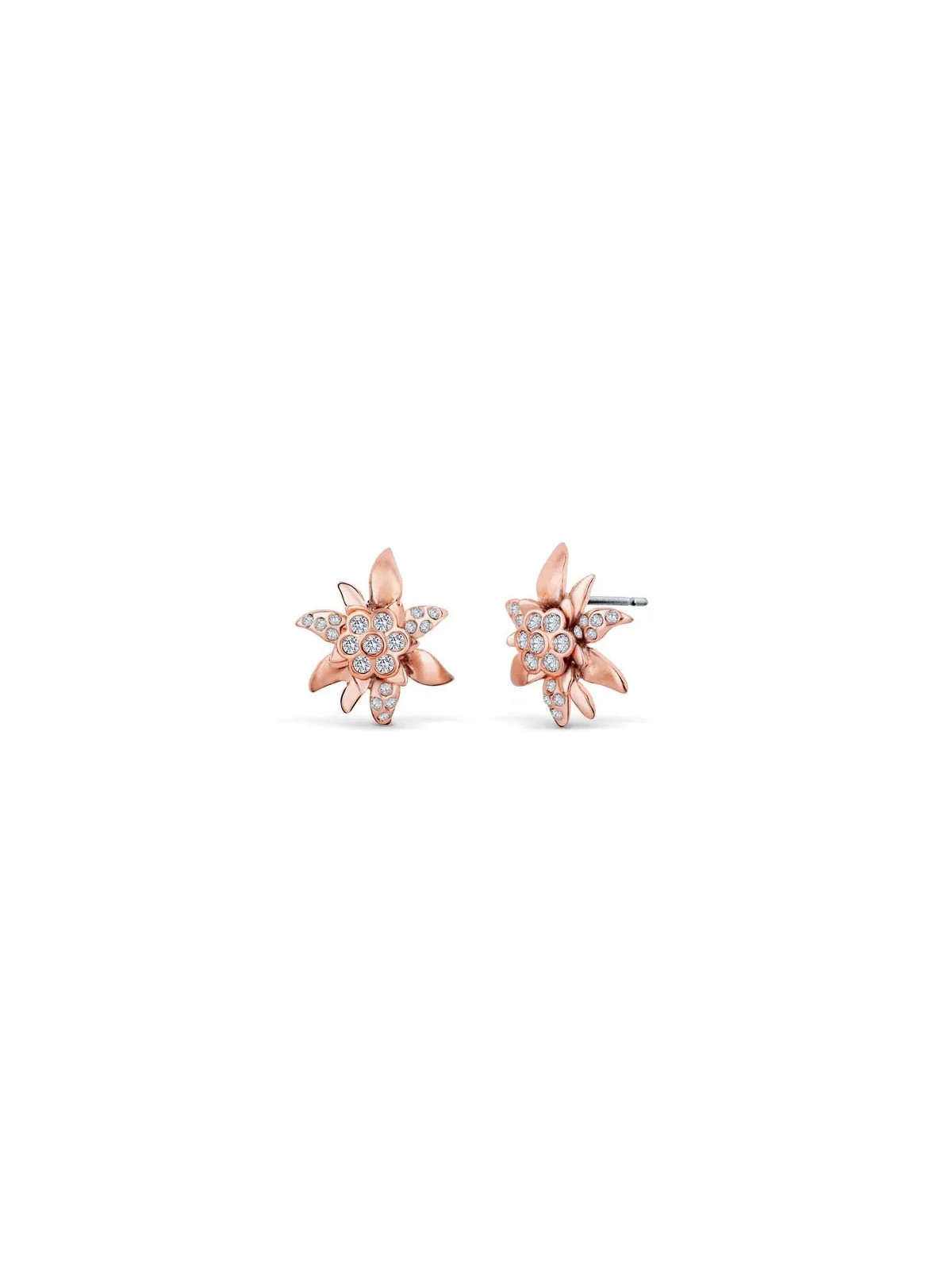CRYSTalp Orecchini coordinati in bronzo Edelweiss con cristalli 4150.RG donna