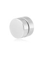 Troli Orecchino singolo magnetico in acciaio 2 in 1 (pietra, mini spilla) VSE6018S-PET unisex