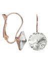 Levien Orecchini in bronzo con cristilla Rivoli Crystal donna