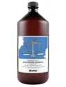 Davines Natural Tech Rebalancing Shampoo 1L
