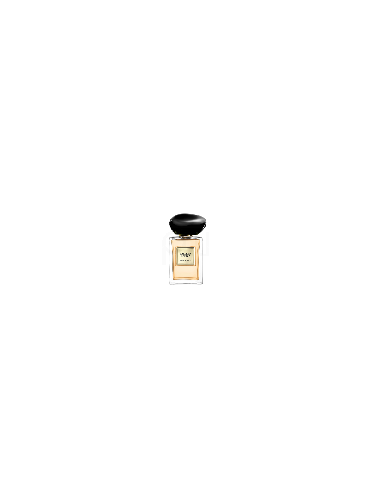 Armani Privé Gardénia Antigua Eau de Toilette 50 ml