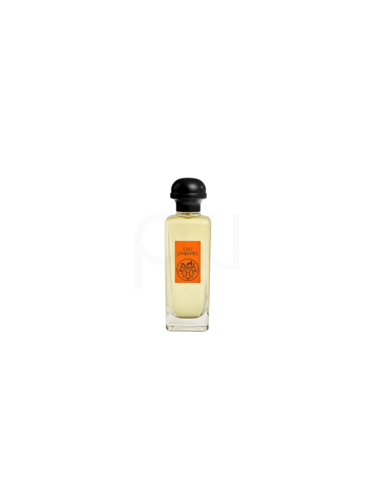 Hermes Eau D´Hermes EDT 100 ml
