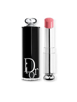 Dior Rossetto Gloss Addict 120 Pink Callisto
