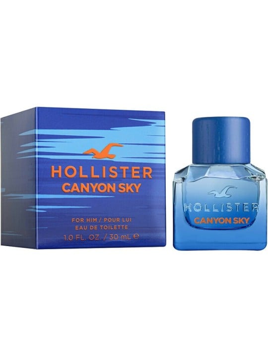 Hollister Canyon Sky For Him eau de toilette 100ml uomo