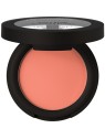 Catrice Soft Blur Powder Blush - Blush 5 g donna 10 Lychee Lush
