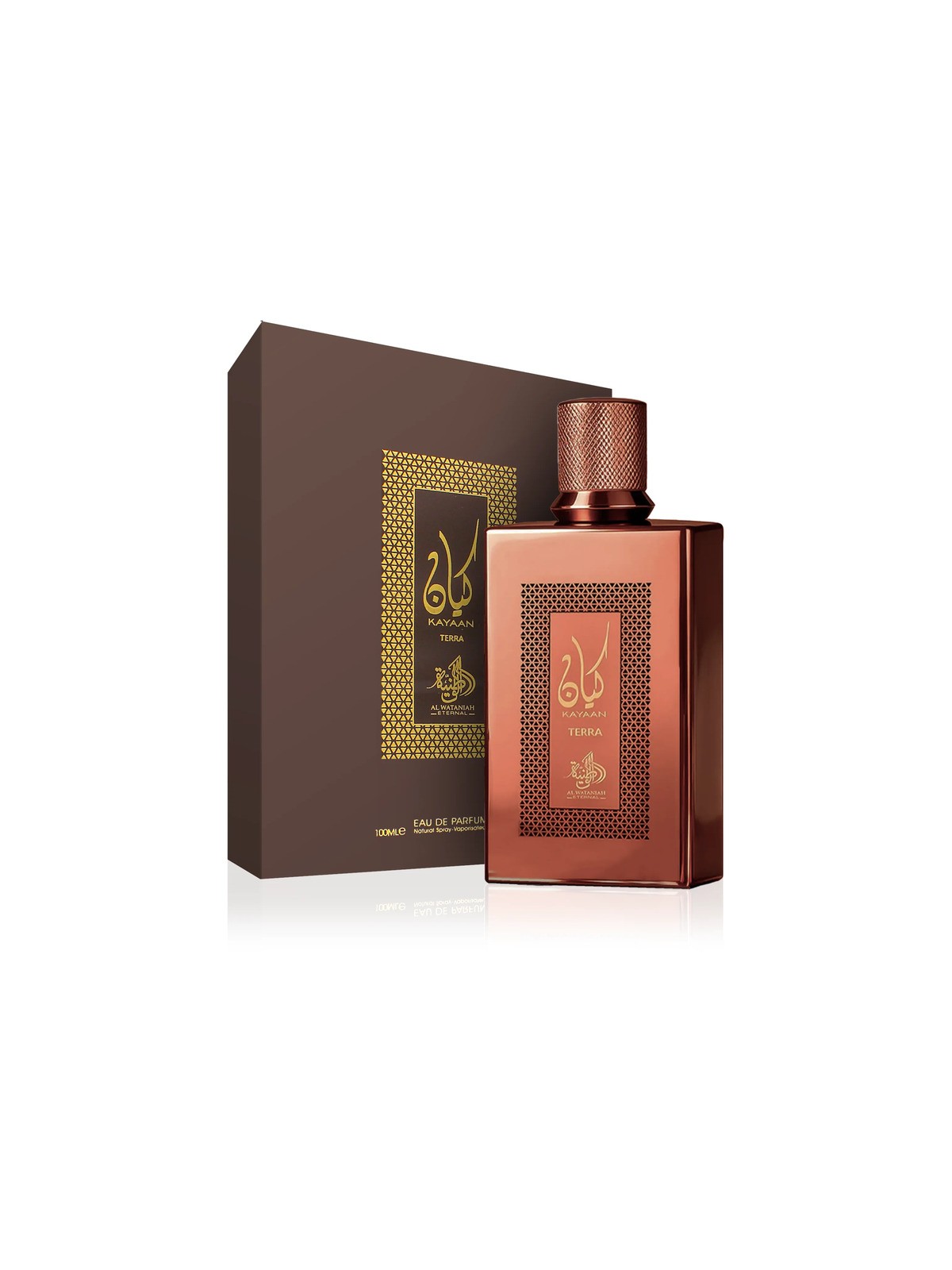 Al Wataniah Eternal Kayaan Terra eau de parfum 100ml unisex