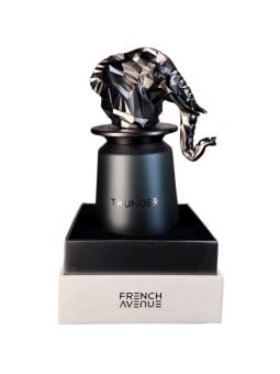 French Avenue Thunder eau de parfum 100ml uomo