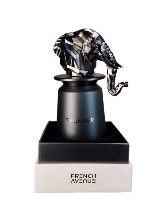 French Avenue Thunder eau de parfum 100ml uomo