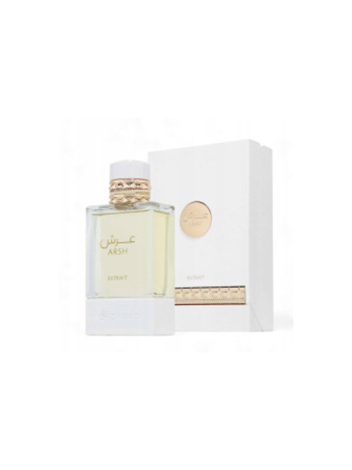 Fragrance World Homage eau de parfum 100ml uomo