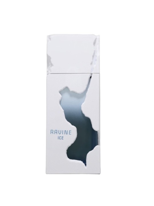 French Avenue Ravine Ice eau de parfum 100 ml unisex
