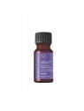 Moroccanoil Trattamento Viola 50ml donna